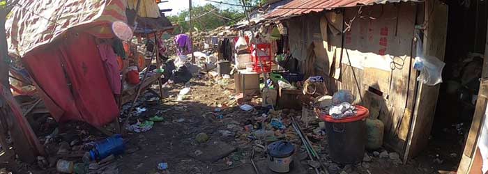 Developing Thriving Communities